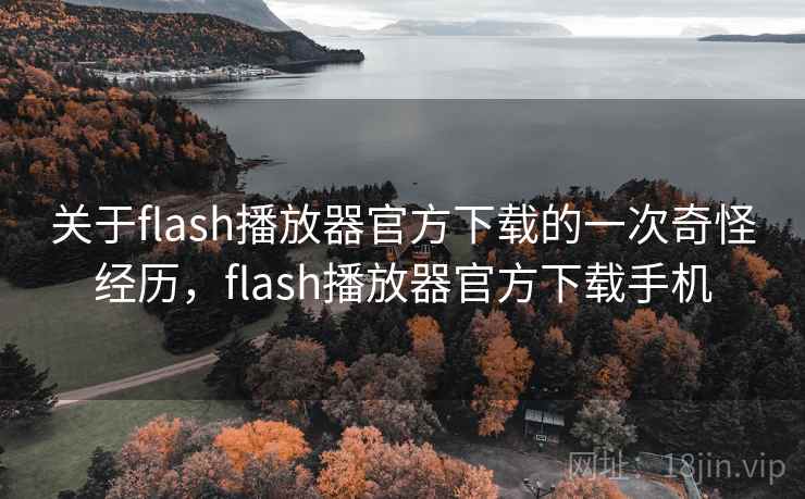关于flash播放器官方下载的一次奇怪经历,flash播放器官方下载手机