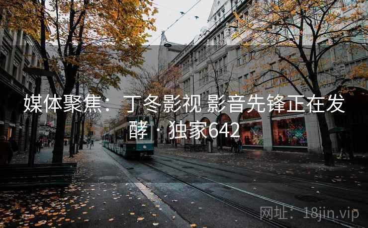 媒体聚焦：丁冬影视 影音先锋正在发酵 · 独家642