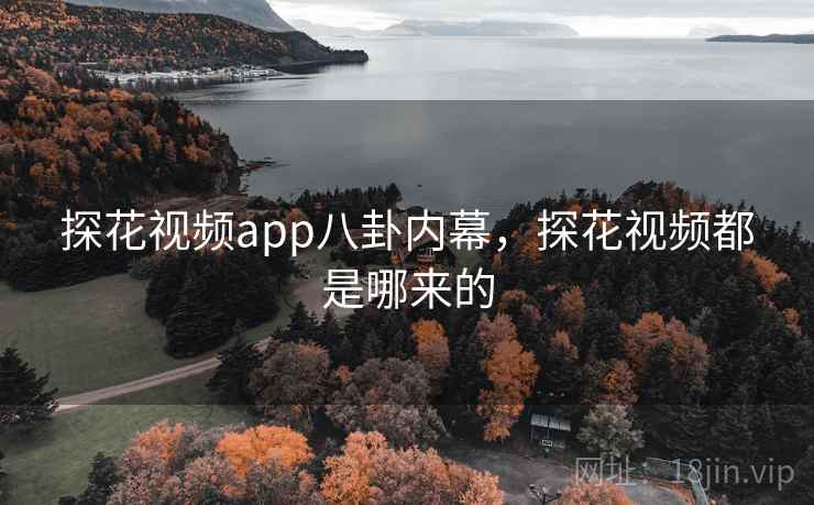 探花视频app八卦内幕,探花视频都是哪来的